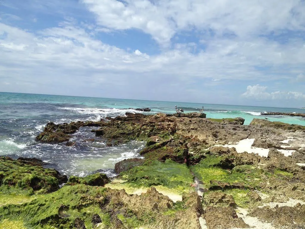 Caleta Tankah Hotel Tulum