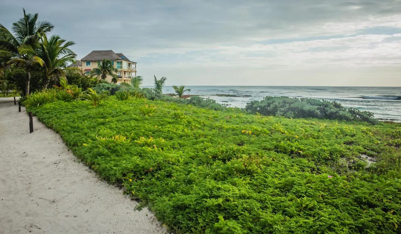 Caleta Tankah Hotel Tulum 3*,